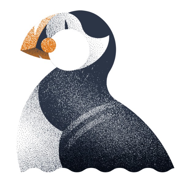 Puffin