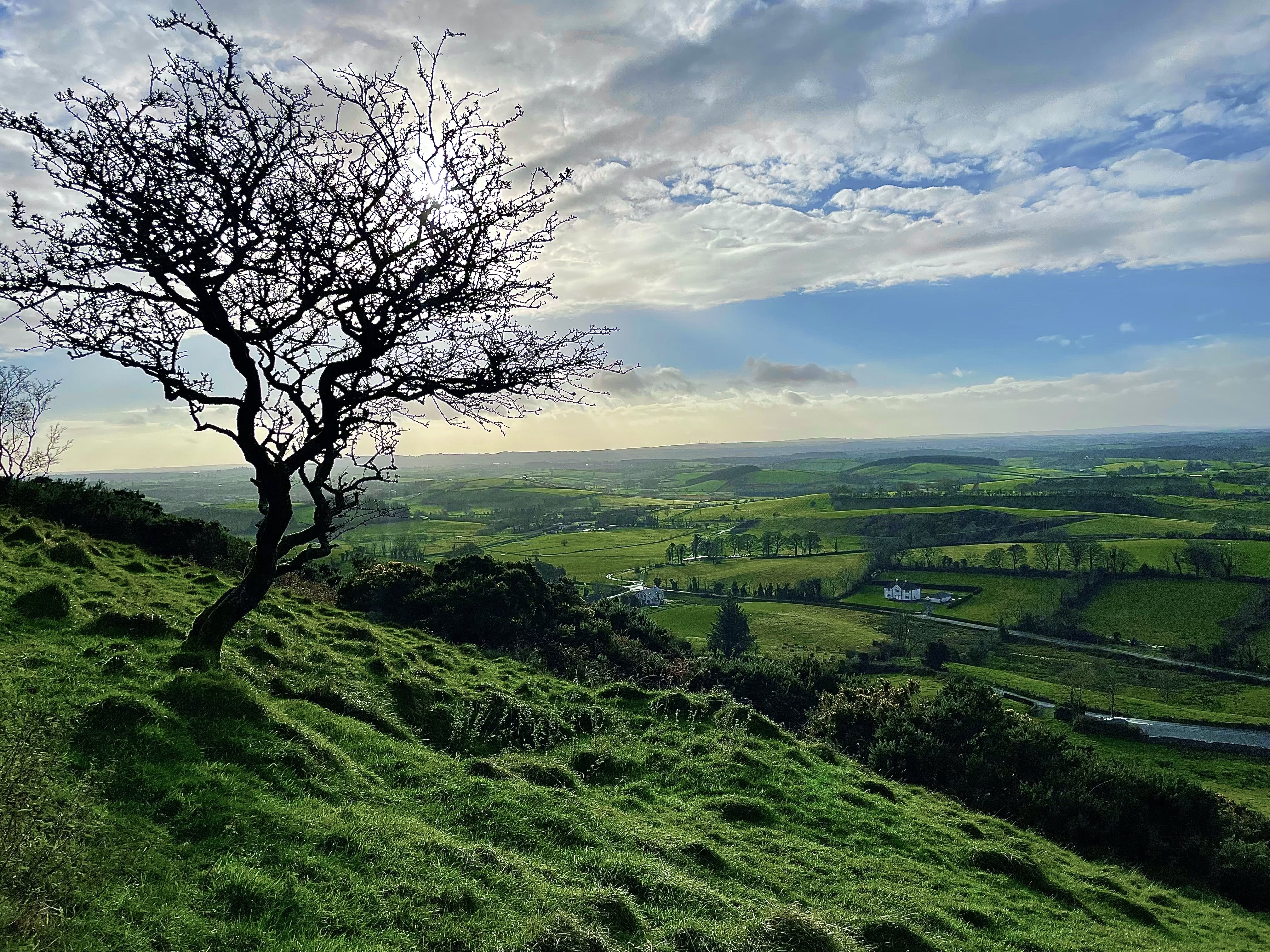 1st Place Photo Contest Winner