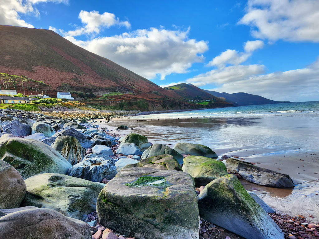 3rd place photo contest